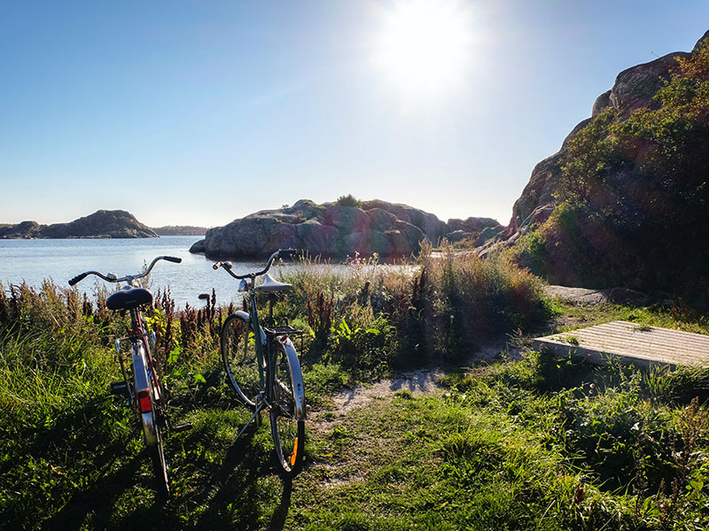 Elit sommarstänger vecka 29-30
